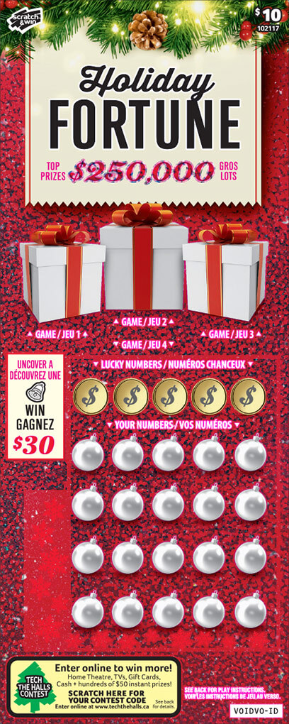 $10 Holiday Fortune